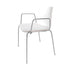 Catifa 46 0251 Armchair Bicolored Frame Chrome